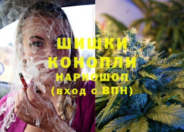 индика Балабаново