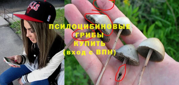 кристаллы Ельня