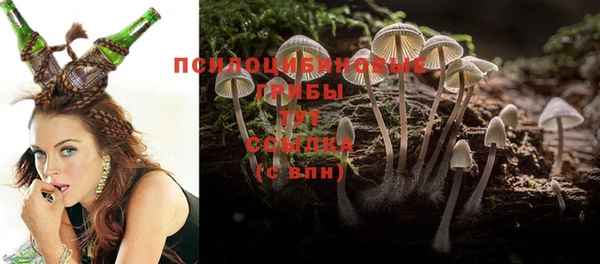 кристаллы Ельня