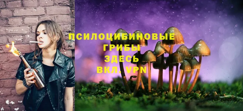 Галлюциногенные грибы MAGIC MUSHROOMS  что такое наркотик  нарко площадка клад  Истра 