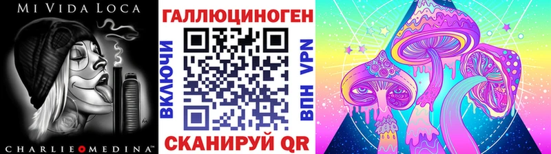 купить  цена  Истра  Псилоцибиновые грибы MAGIC MUSHROOMS 