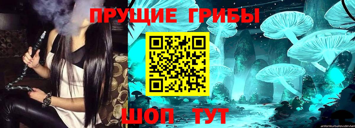 Галлюциногенные грибы Cubensis  Вход с VPN  закладки  Истра 